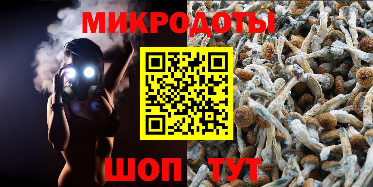 Нурлат  Галлюциногенные грибы мухоморы  Вход с VPN 